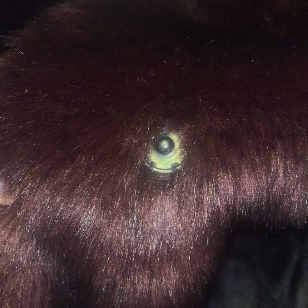 NWT REISS
Gypsy Faux Fur Scarf In the color “Ox Blood” - Picture 5 of 6